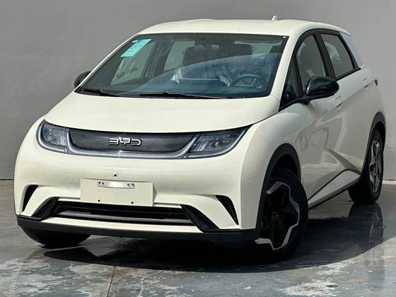 BYD DOLPHIN 44,9 KW ELÉTRICO GS BYD DOLPHIN 44,9 KW ELÉTRICO GS